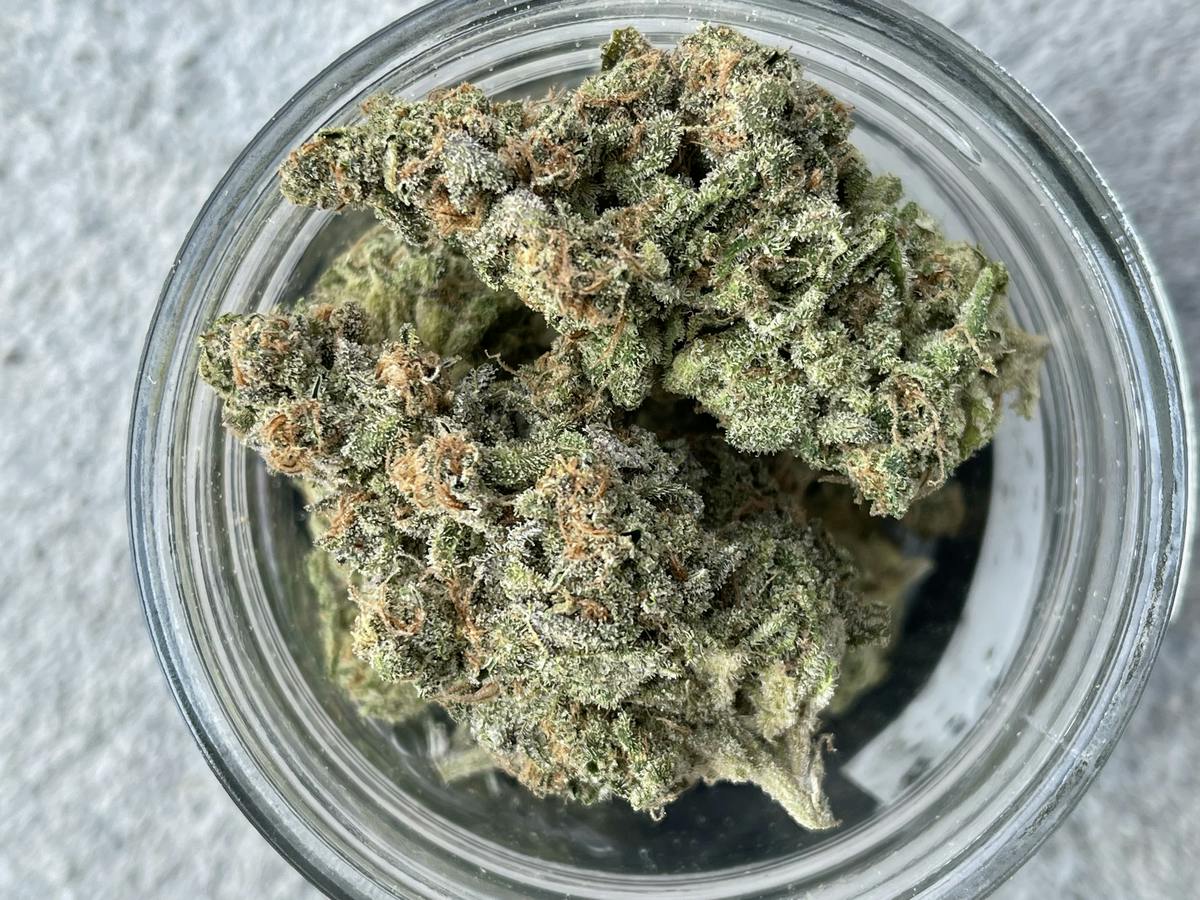 NorCal Gooey
