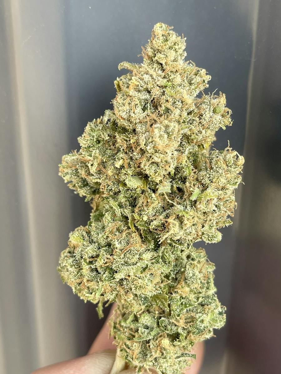 Durban Poison