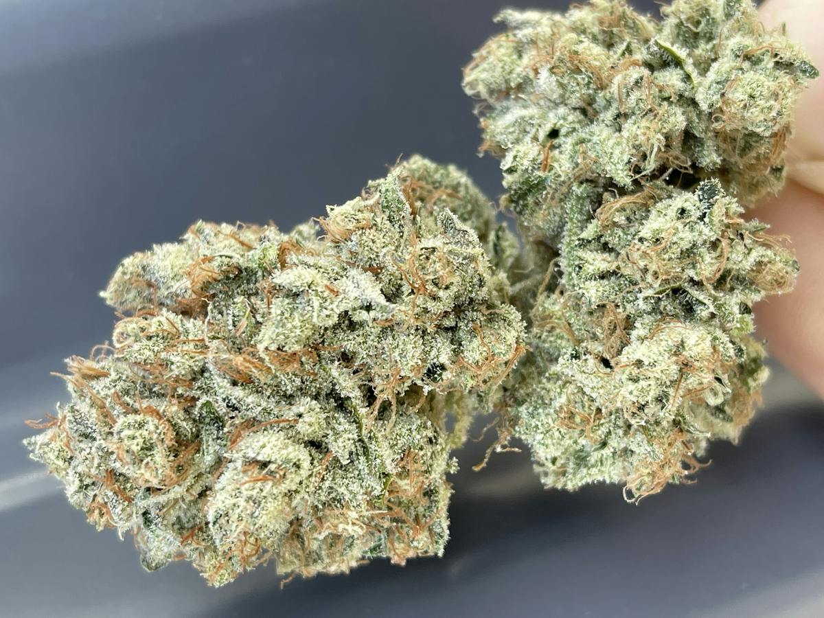 Goji OG