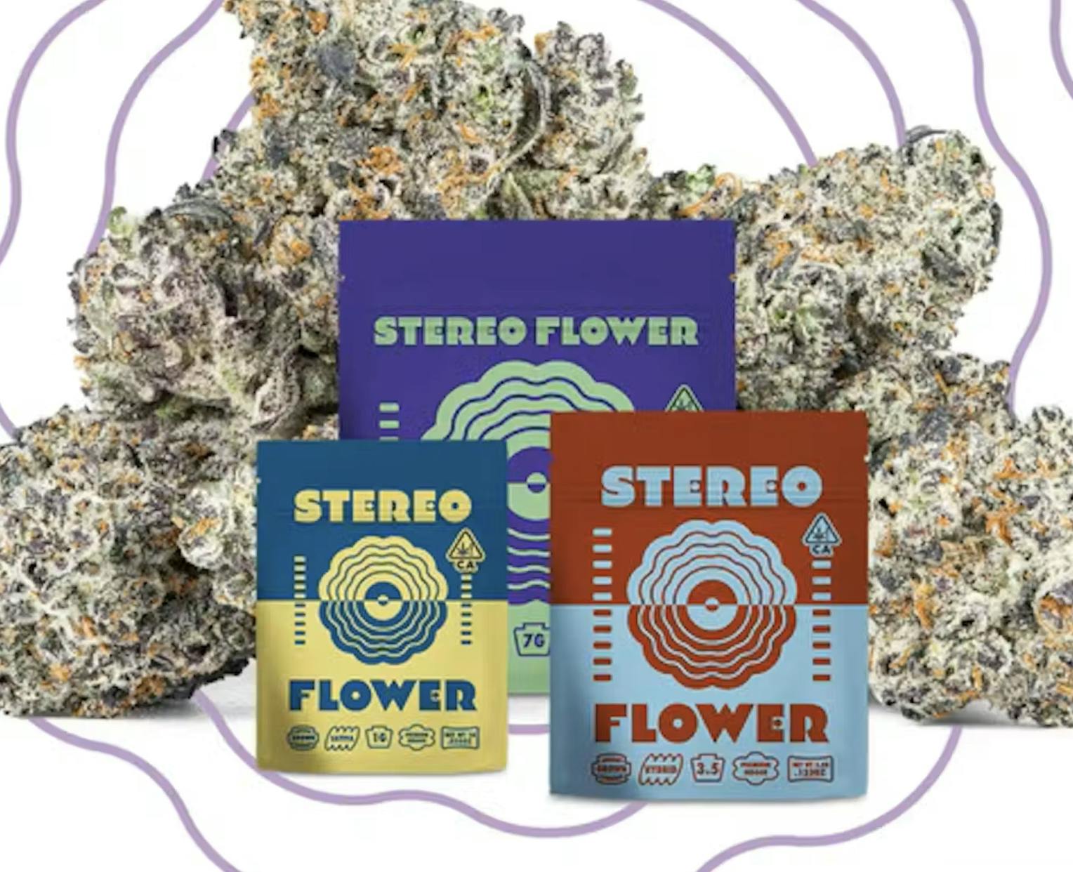 STERIO-BLACK ORCHID(FLOWER)-3.5(P)