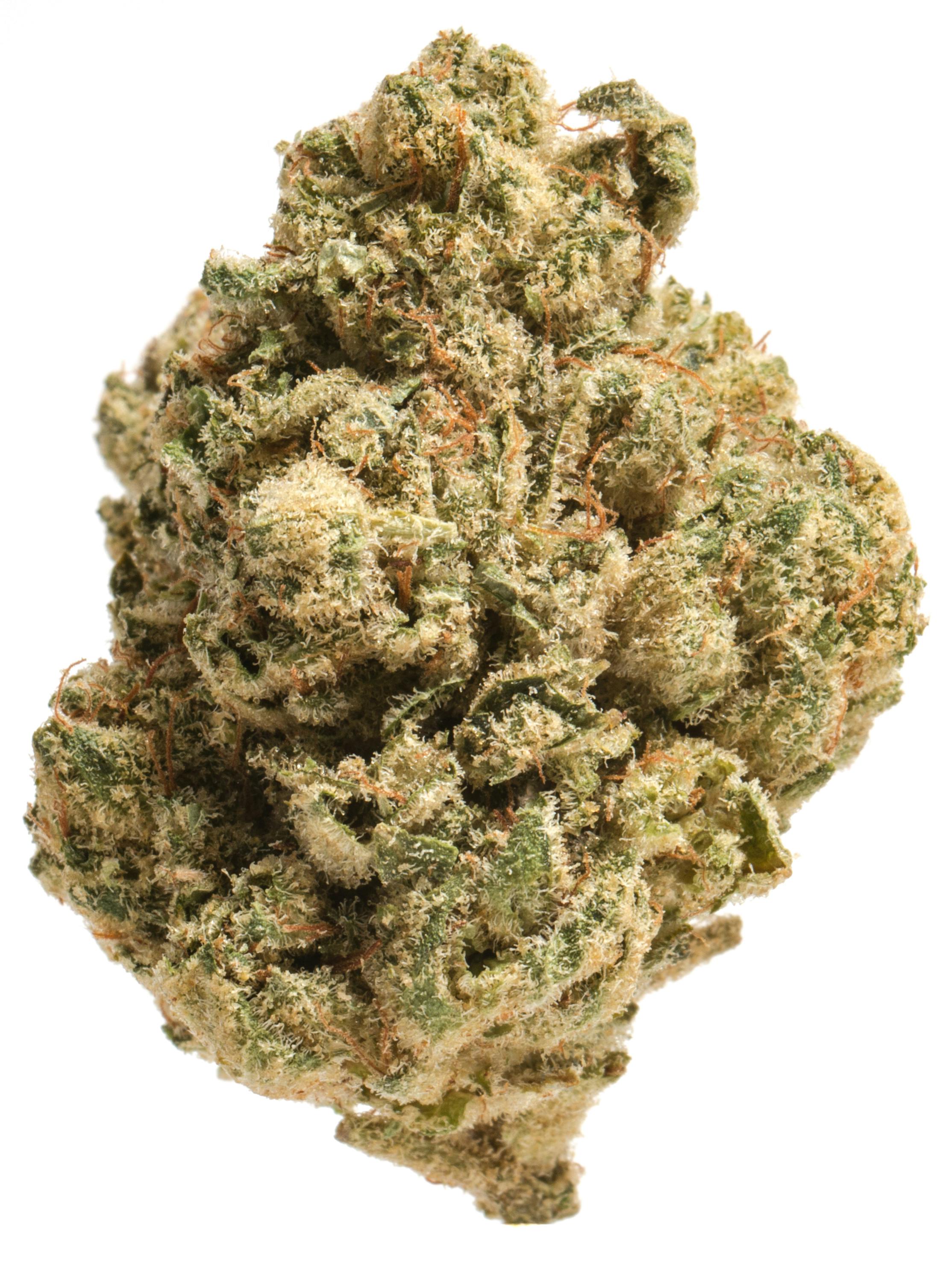 LUV-BANANA JEALOUSY (FLOWER) 3.5G(P)