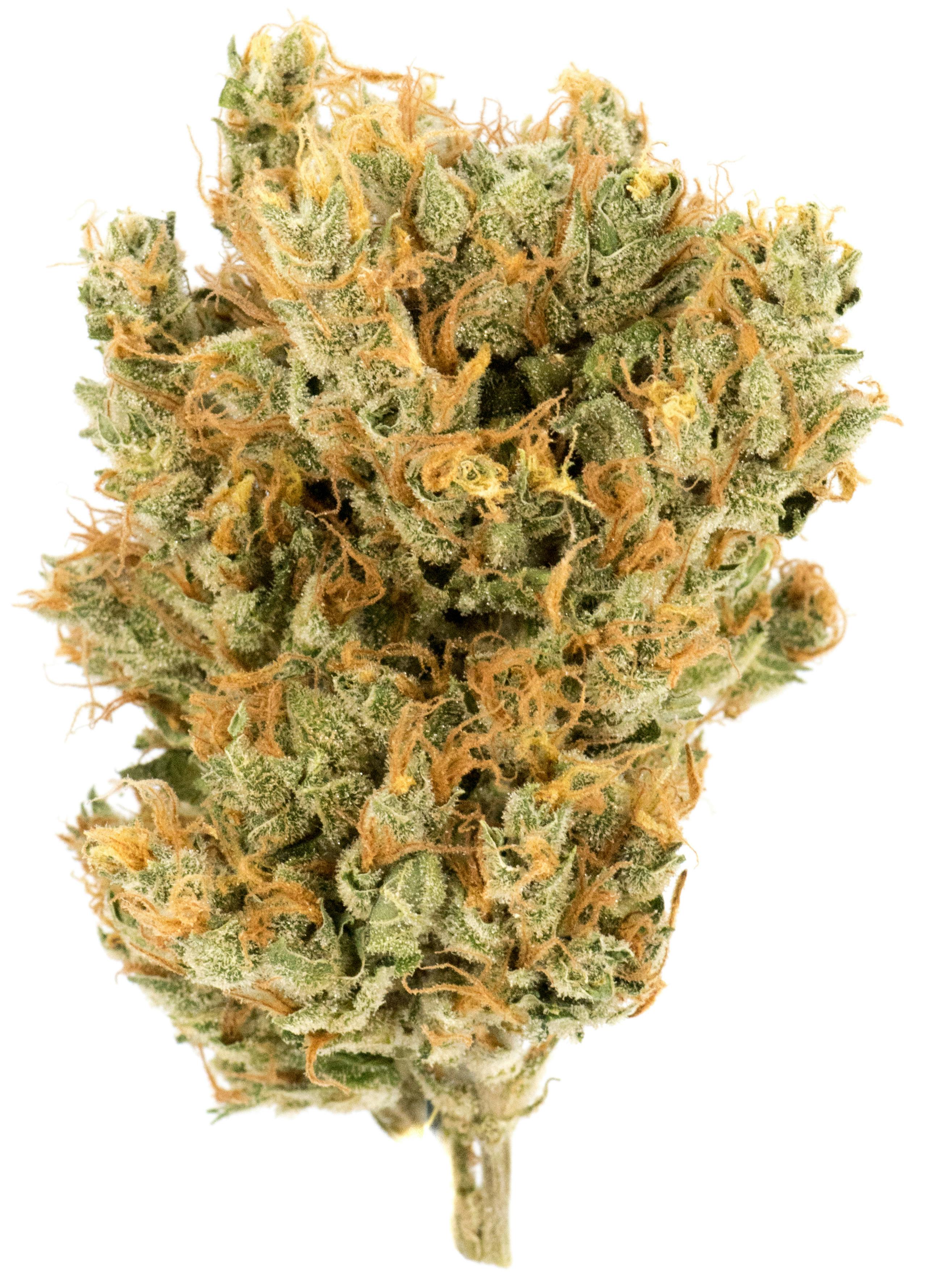 LUV-LIP SMACKERS (FLOWER) 14G(P)