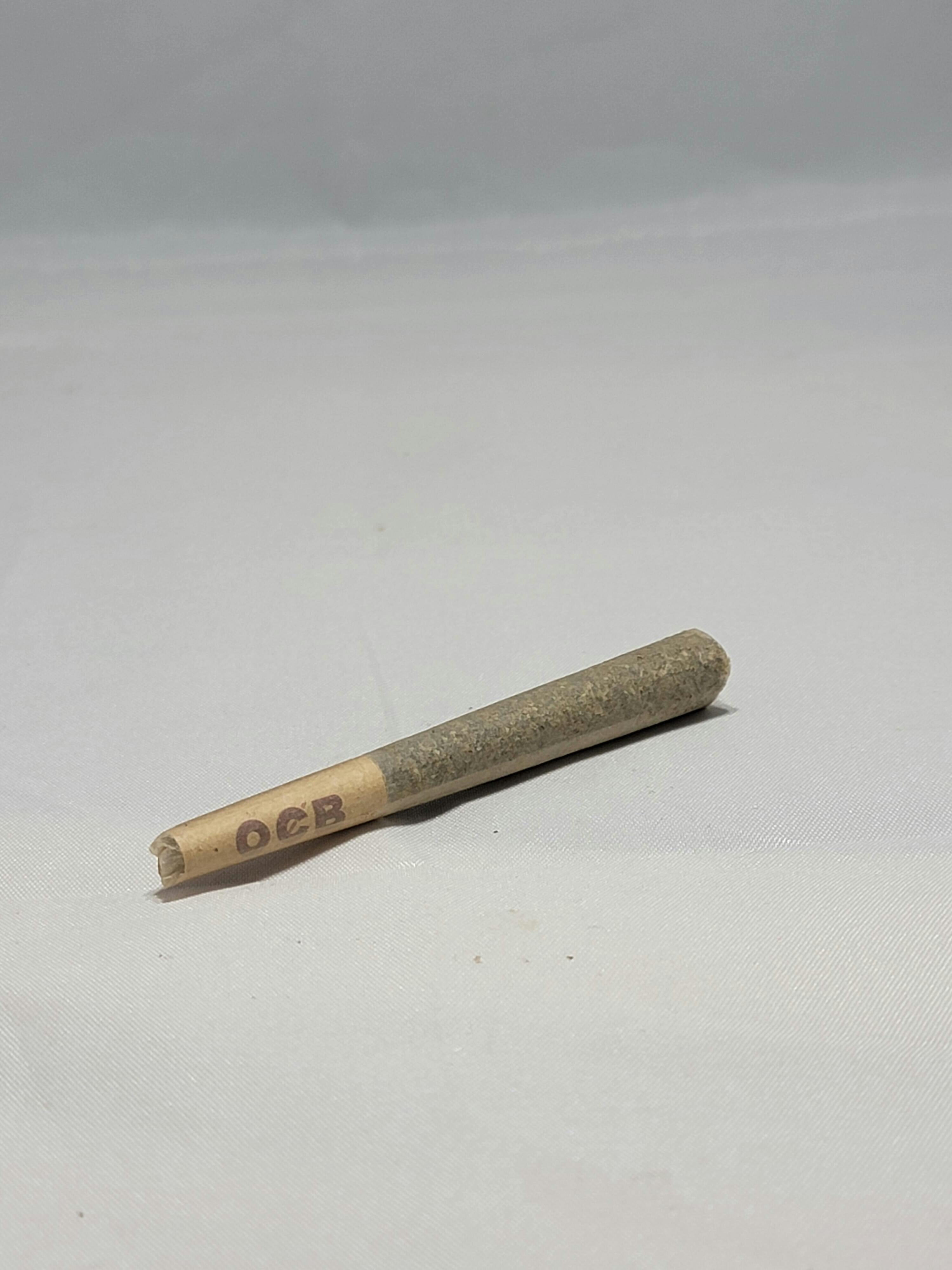 1 gm Infused Preroll- Bluternity at Evergreen Cannabis Co