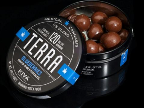 Terra 100mg Blueberry Bites