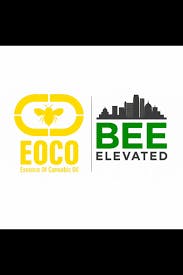 Bee Elevated 1750mg Tincture Drops