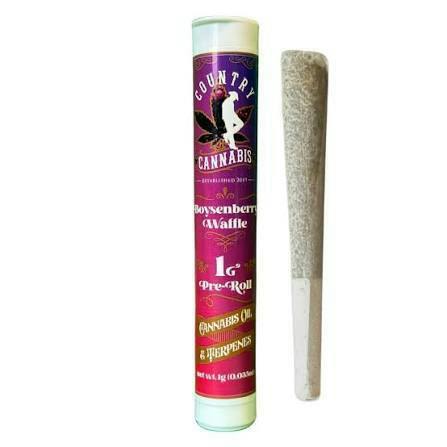 Boysenberry Waffle | Infused Pre-Roll | 1G