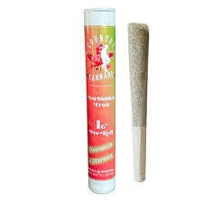 CC 1g Forbidden Fruit