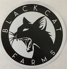 BCF Wax Lazer Wolf 1g