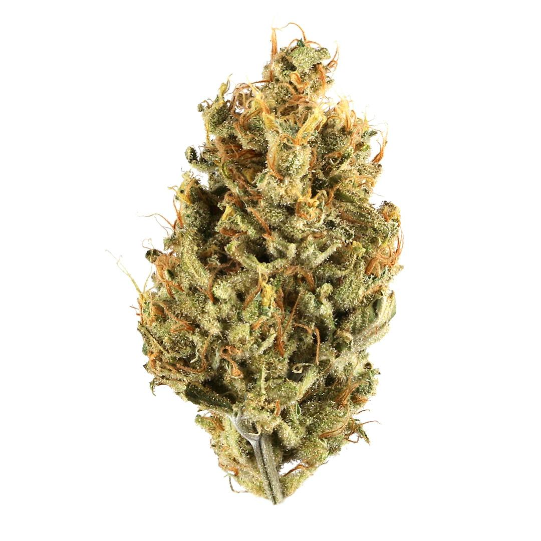 Lemon Bar | Buds | 1g
