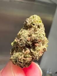 JK | West Coast Shake Exotic