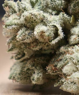 Gorilla Glue #4 by The Frost Factory