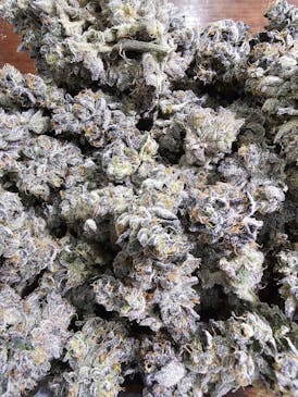 The Frost Factory | Larry Bird