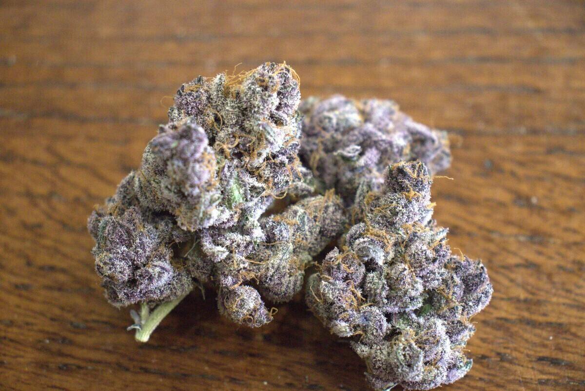 Trop Cherry by The Frost Factory