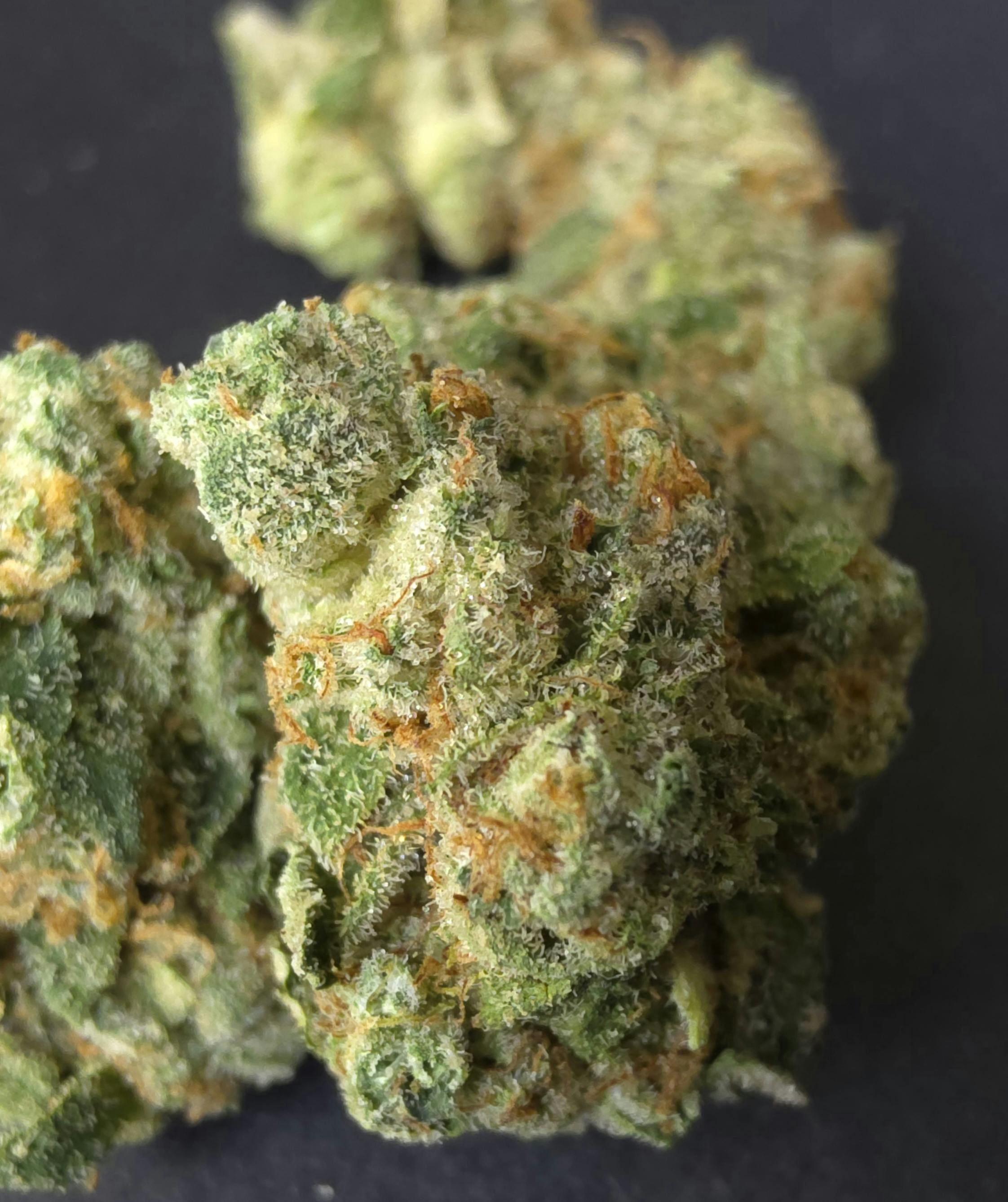 91 Octane | Hi-Test Gardens | Flower