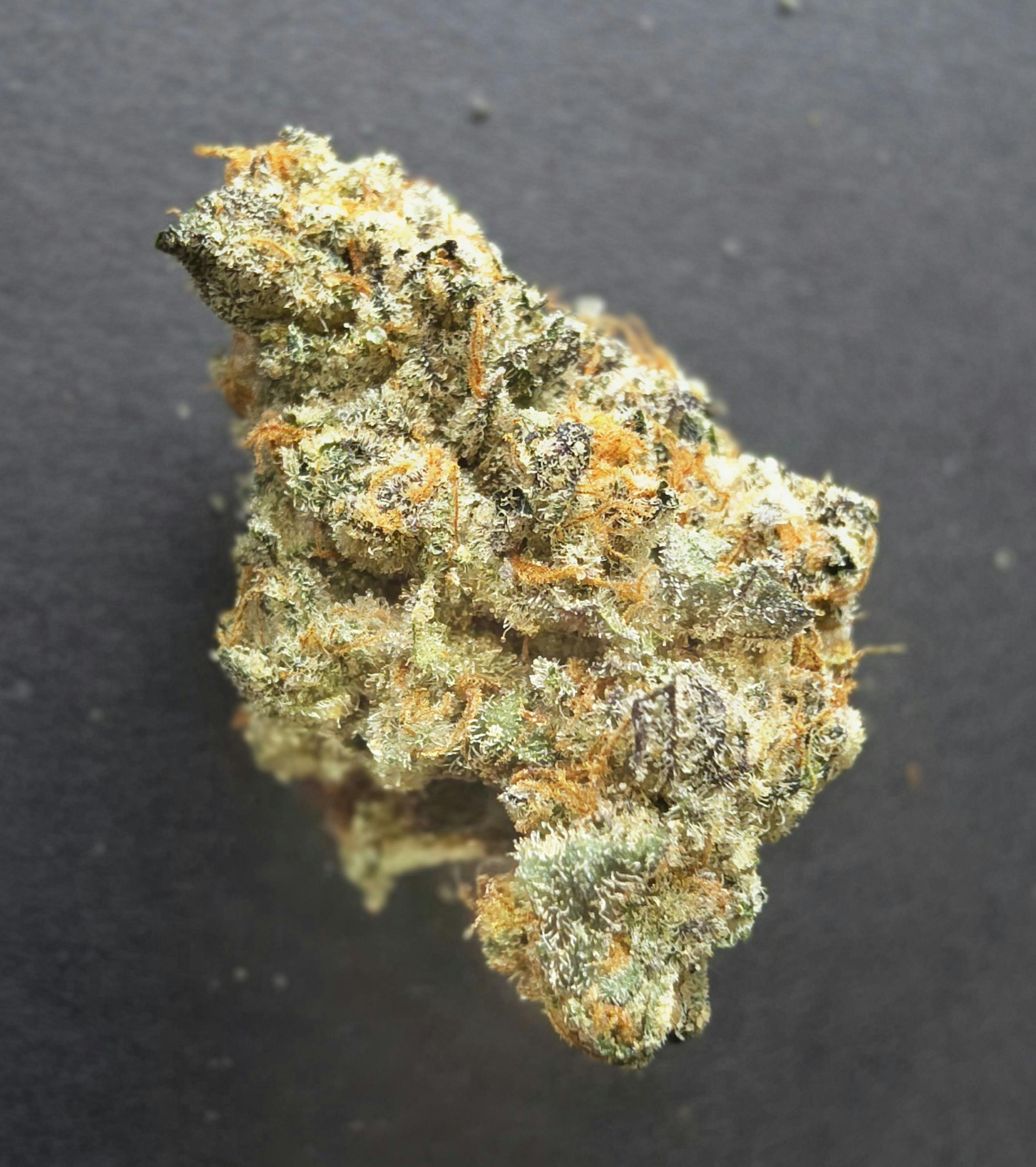 Junior Mints | Emerald Bay Farms | Flower