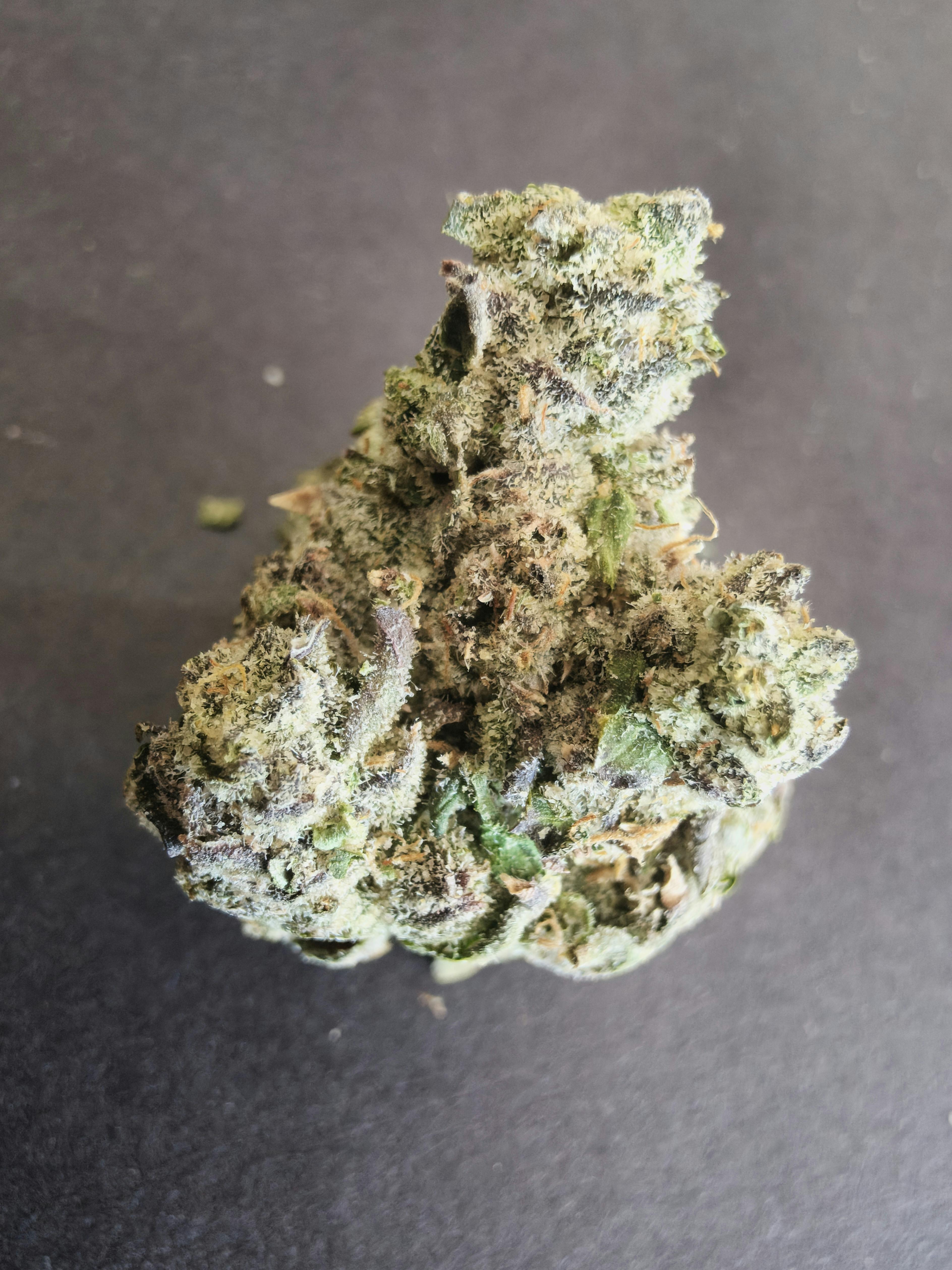 Funfetti Cake | Master of Mids | Flower