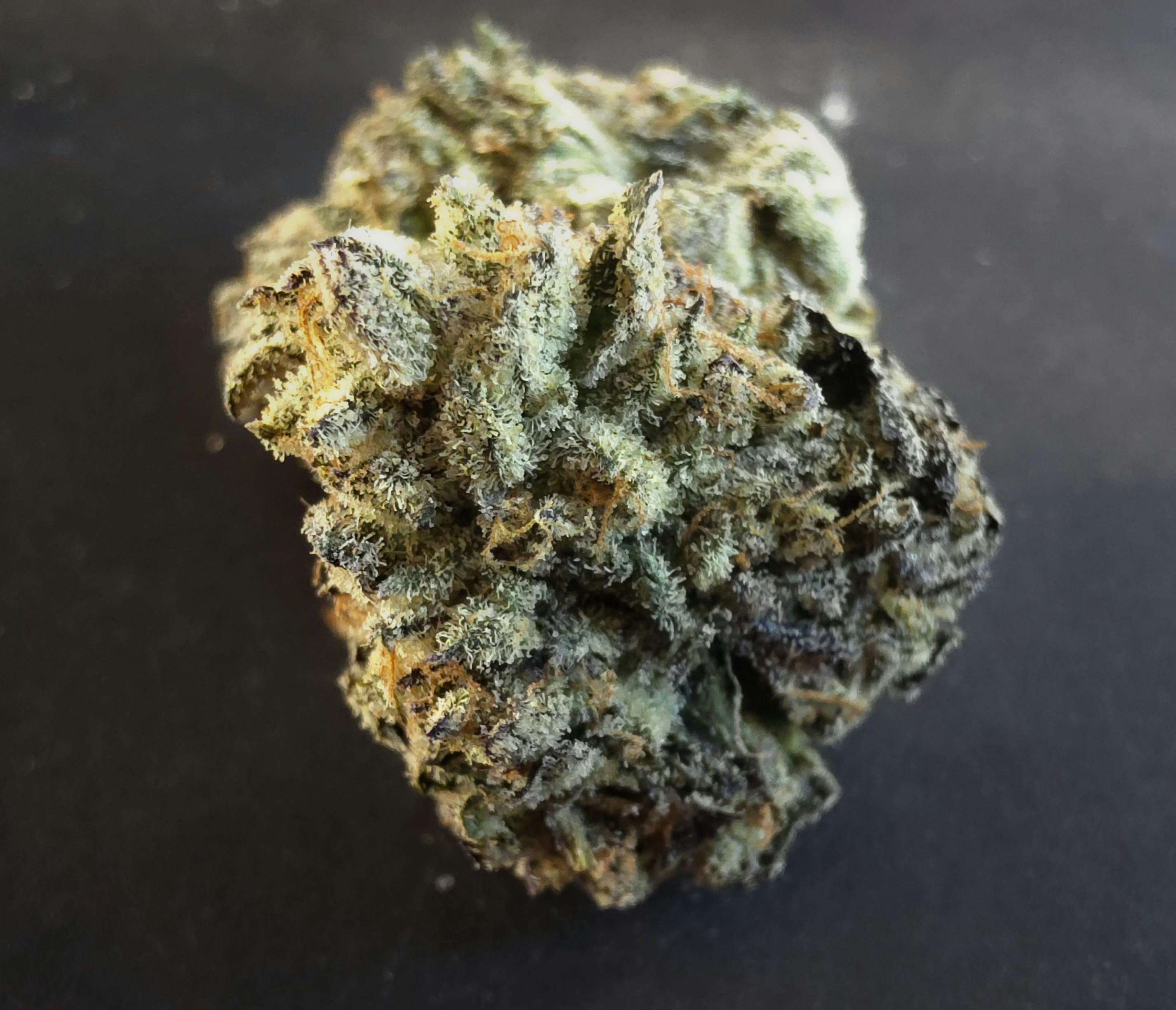 Vanilla Drip | Master of Mids | Flower