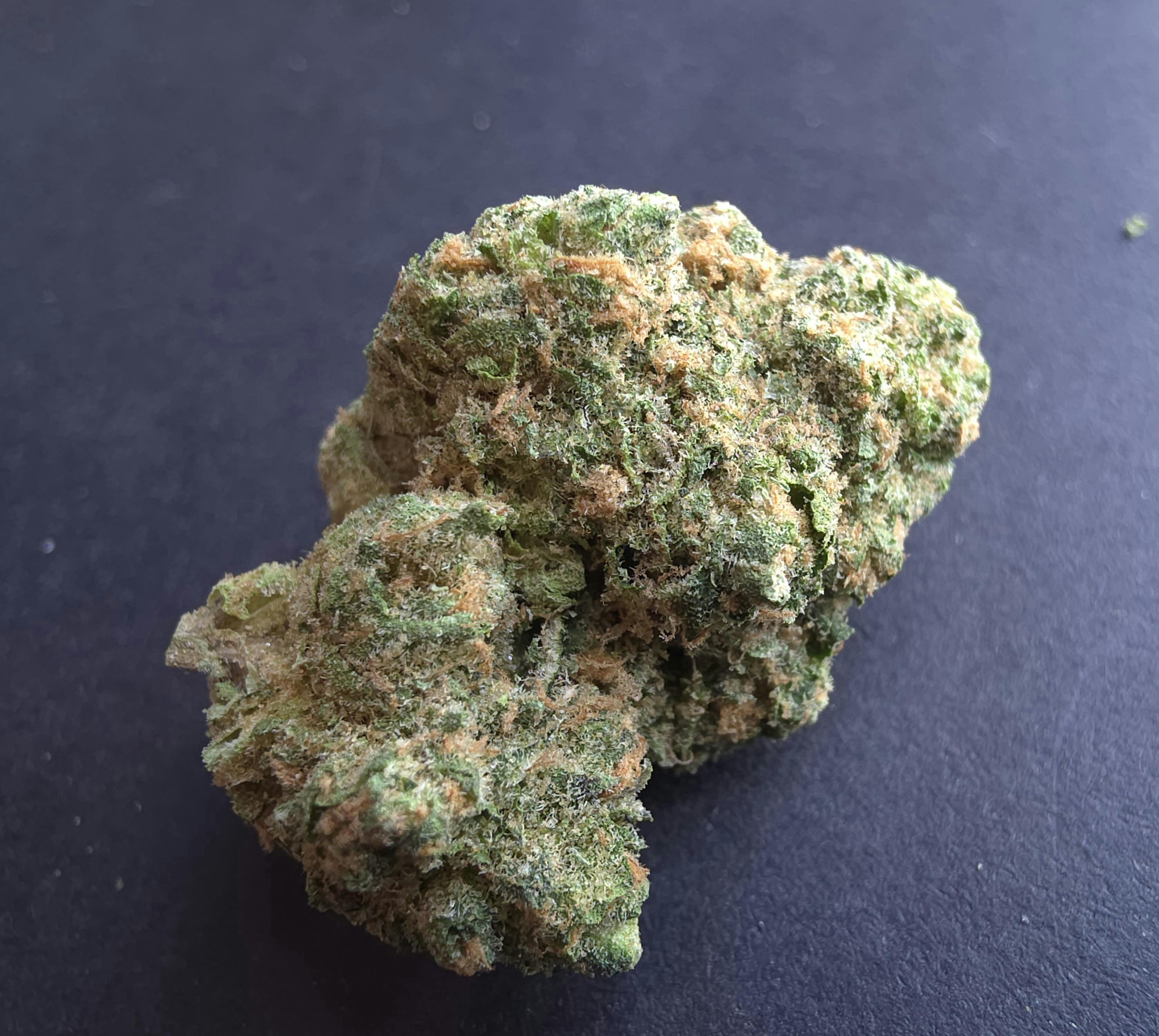 Blue Zushi | Ellipse Cannabis Co. | Flower