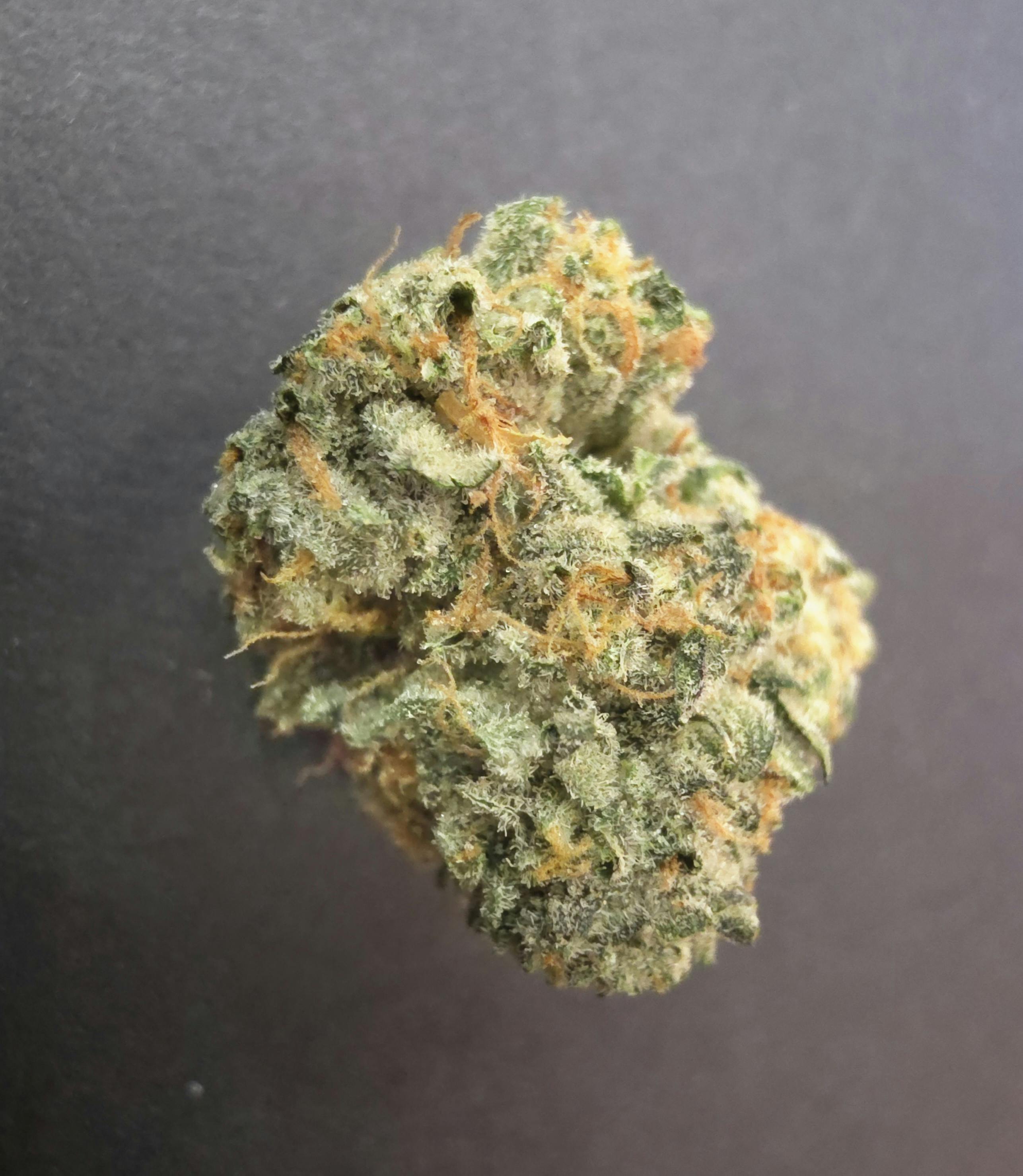 Gassy Knolls | Master of Mids | Flower