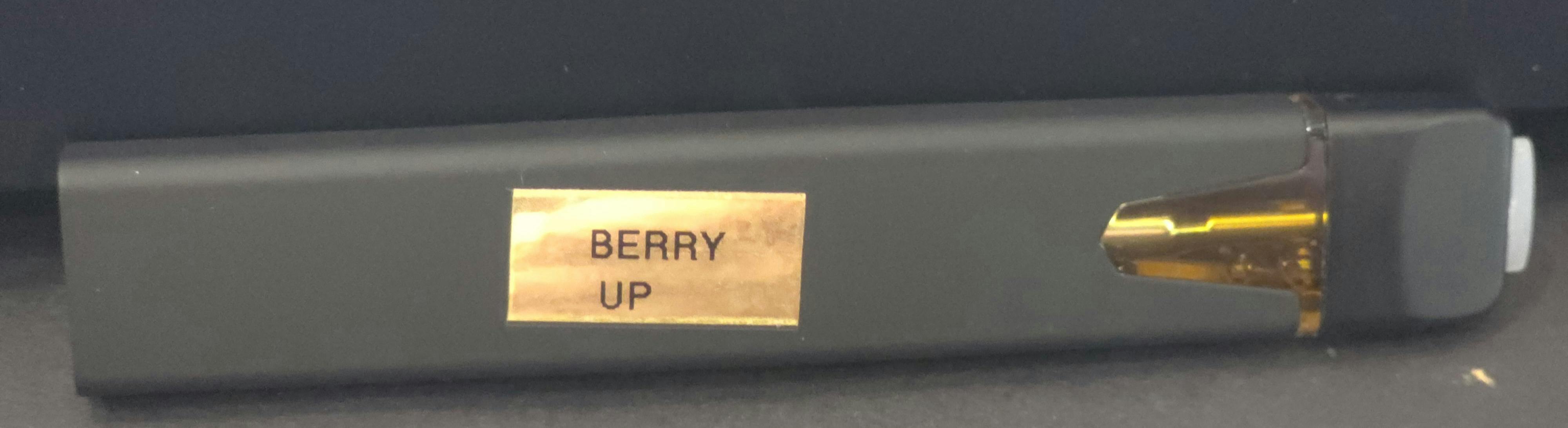 Berry Up 1g Live Resin | The Frost Factory | 1 Gram Disposable