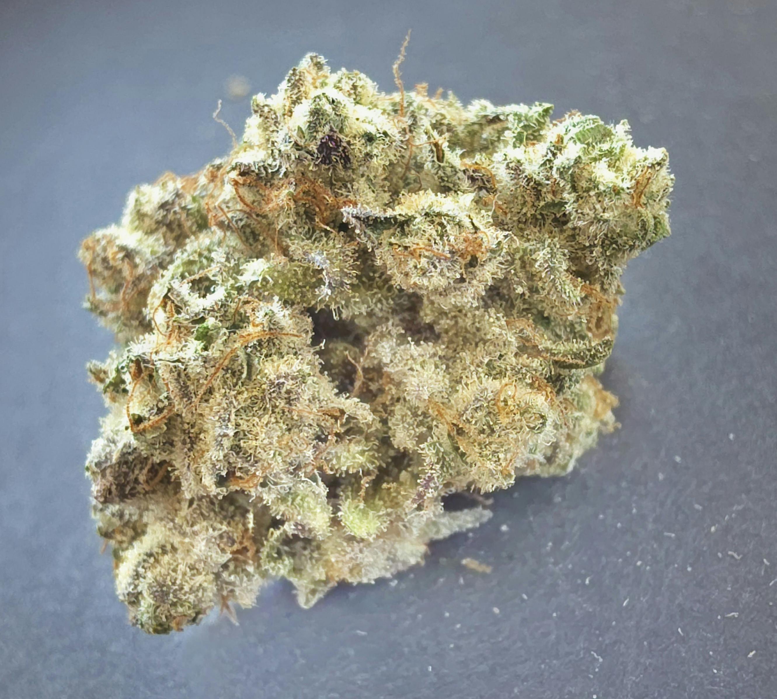 Zookies | Master of Mids | Flower