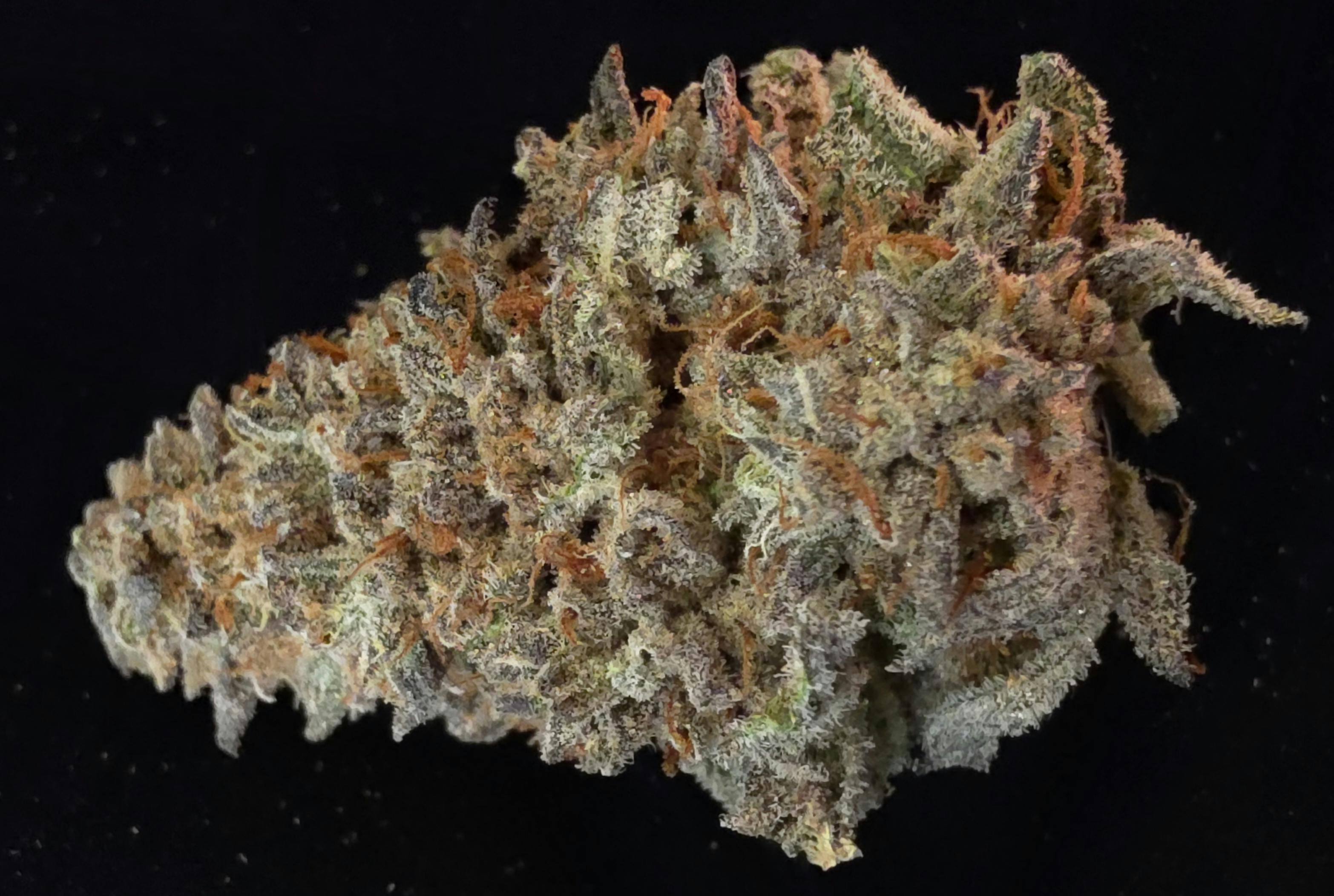 Grape God | Master of Mids | Flower