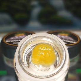 Tahoe OG BHO