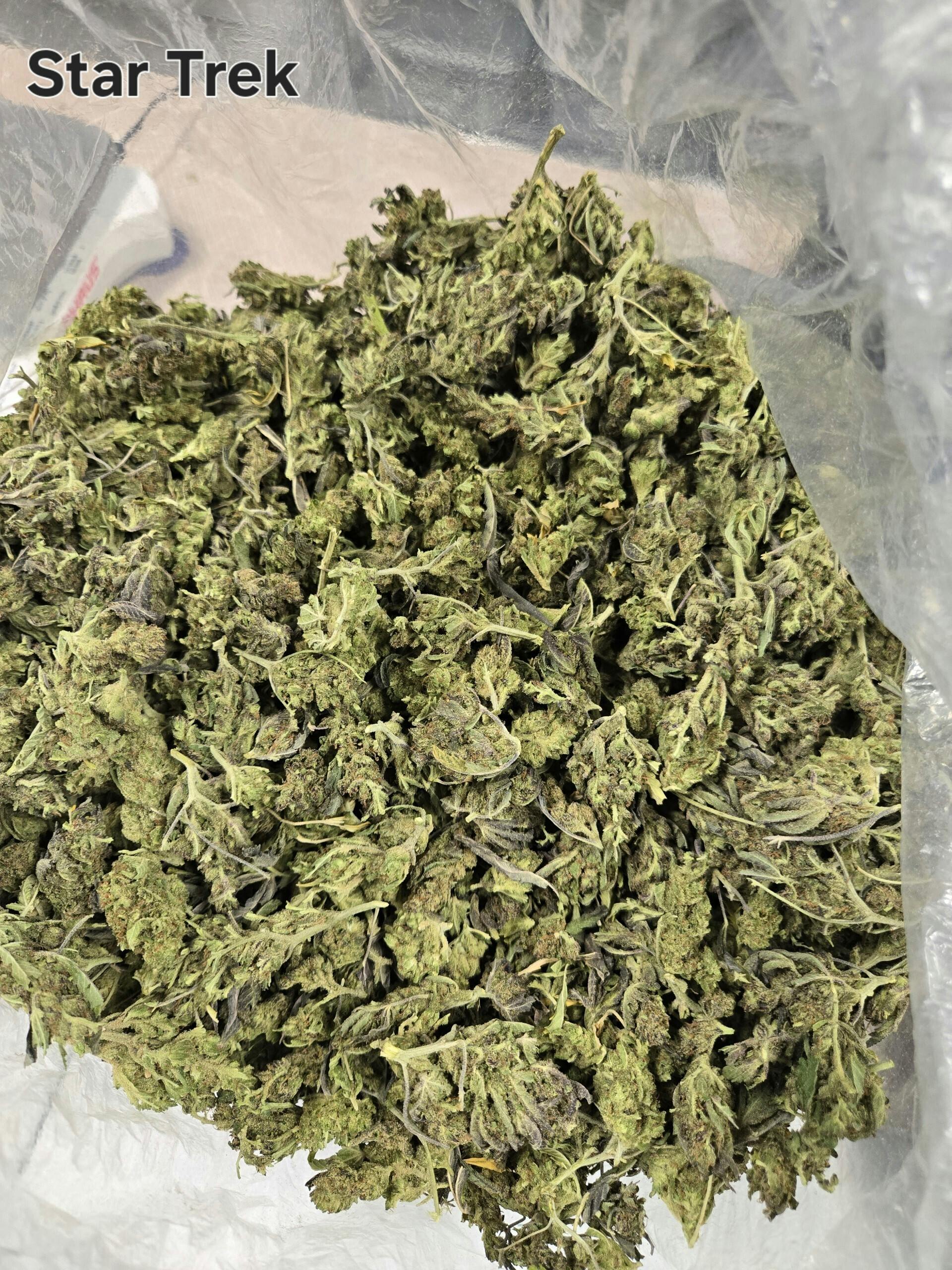 LBF Star Trek 7g