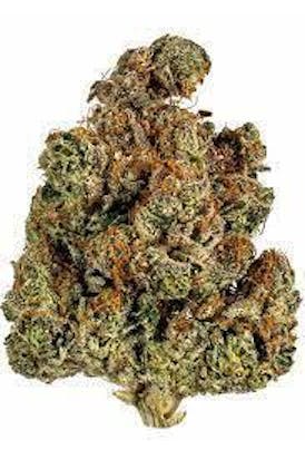Tropicana Cherry (smalls 125 oz)
