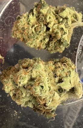 Top Shelf Flower - Fat Bastard
