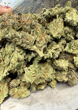 Top Shelf Flower - Sour Diesel