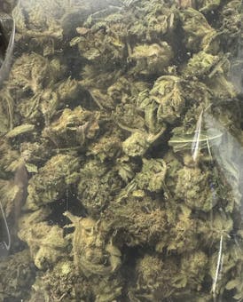 Platinum Gorilla $100oz