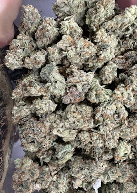 Top Shelf Flower - Sour Trop