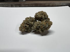 GMO