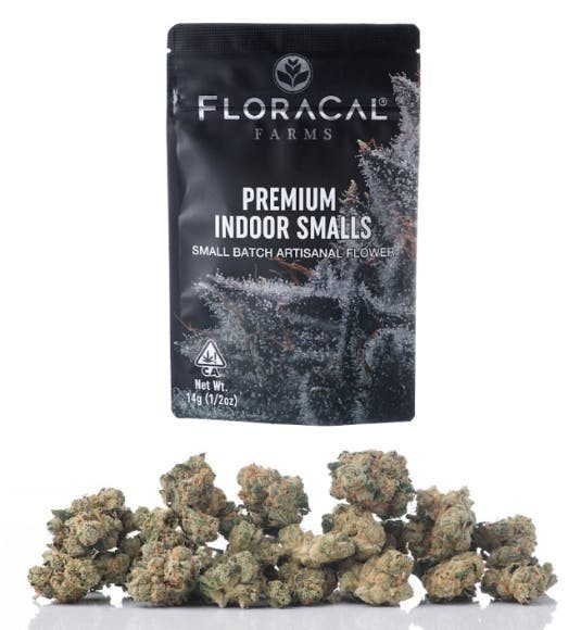 FloraCal™ — Maui Punch