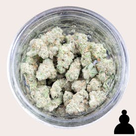 ♙ - Atlantic Jungle - GMO Smalls