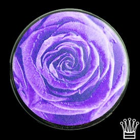 ♛ - The Papermill - Nu Mellowz Live Rosin