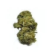 Yummy 3.5g Small Bud