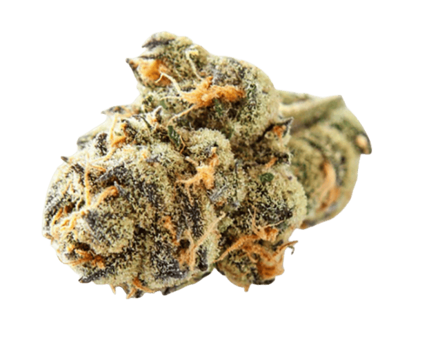 Grand Daddy Purple 3.5g Large Bud