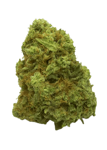 Extraterrestrial Bananas 3.5g Small Bud