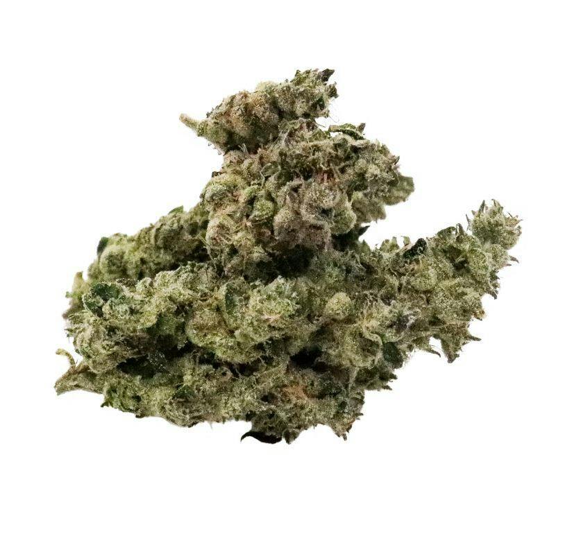Blue Cheese 3.5g Small Bud