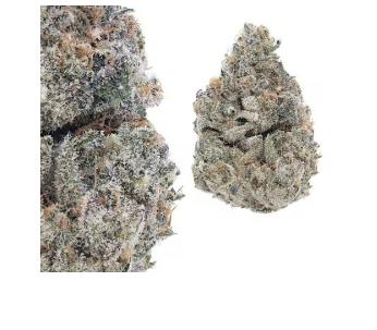 Blue Magoo Cookies 3.5g Small Bud