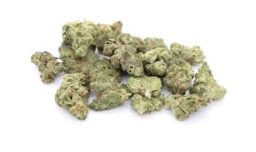 GMO 3.5g Small Bud