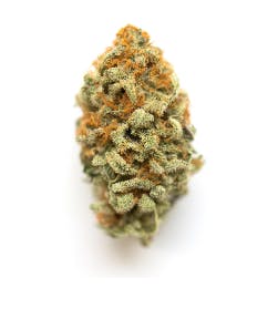 GMO 3.5g