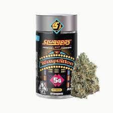 Sluggers - Jarred Flower - 5g - Temptation