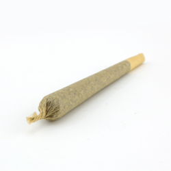 PRE-ROLL- Millennium Falcon 1G