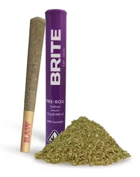 Brite - 1g Pre Roll - Platinum Bird