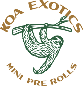 KOA- INFUSEED PREROLL -SPACE ROCKS X GREEN CRACK