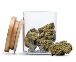 Diamond Infused Flower Orange Creamsicle