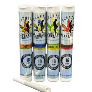 Dragon Fruit | Infused Blunt | 2.5G